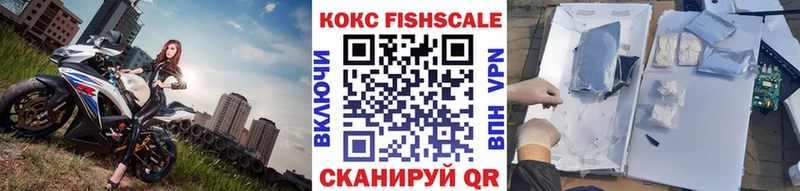 hydra ТОР  shop Telegram  COCAIN 98%  сколько стоит  Козьмодемьянск 