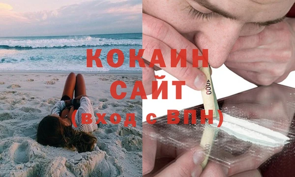 трава Аркадак
