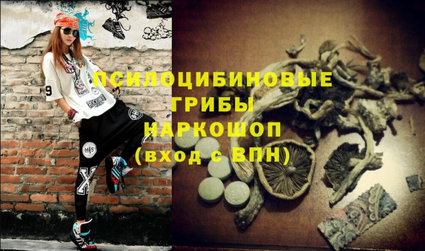трава Аркадак